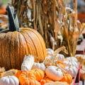 The Best Pumpkin Picking Spots for Halloween Near Oklahoma City